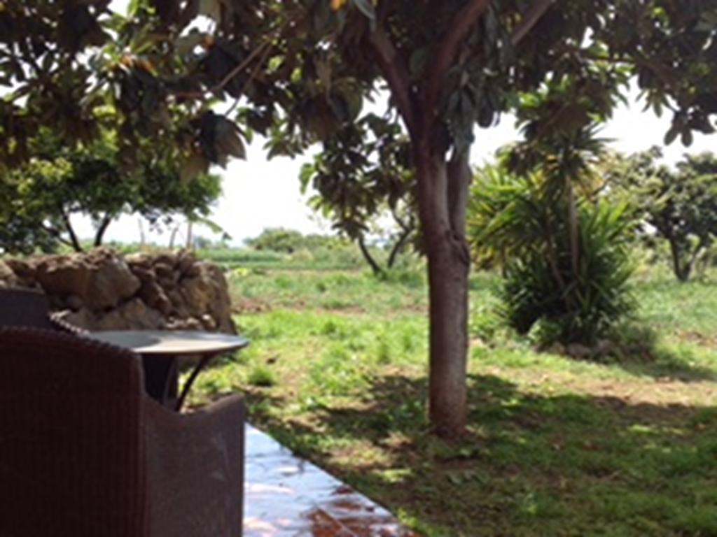 Villa Del Nespolo Fiumefreddo di Sicilia Bagian luar foto
